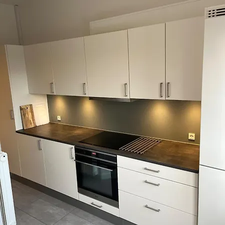 Hyggelig Taet Pa Centrum Og Letbanestop Апартаменты *