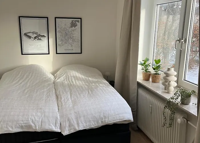 Hyggelig Taet Pa Centrum Og Letbanestop * Оденсе